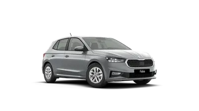 Fabia 130 let