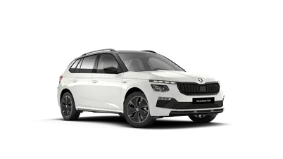 Kamiq Monte Carlo