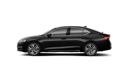 Octavia Exclusive Selection