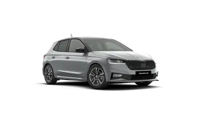 Fabia Monte Carlo