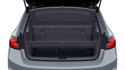 Fabia Monte Carlo