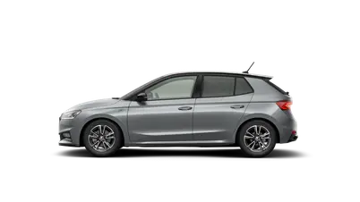 Fabia Monte Carlo