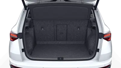 Karoq Dynamic