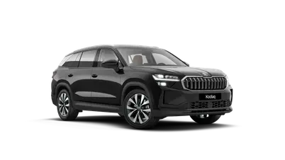 Kodiaq Exclusive Selection