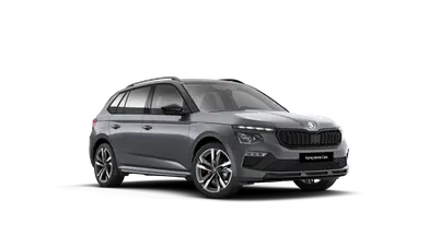 Kamiq Monte Carlo