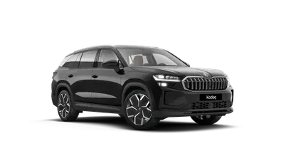 Kodiaq Exclusive Selection