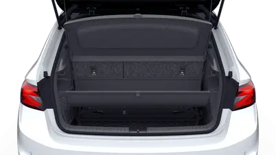 Fabia Monte Carlo