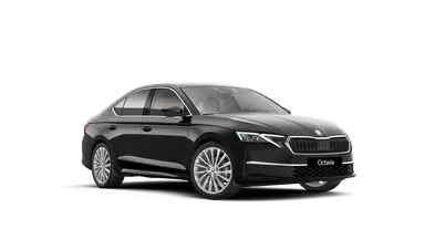 Octavia Exclusive Selection