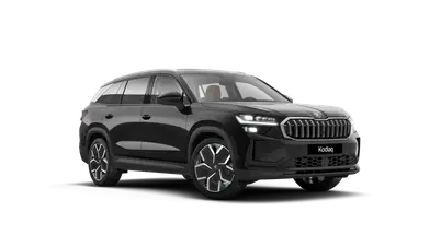 Kodiaq Exclusive Selection