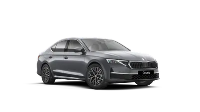 Octavia Top Selection