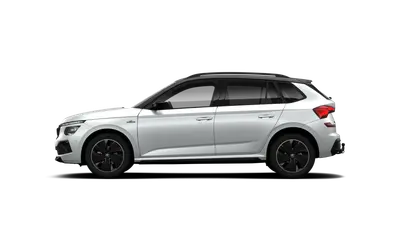 Kamiq Monte Carlo