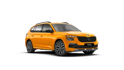 Kamiq Dynamic