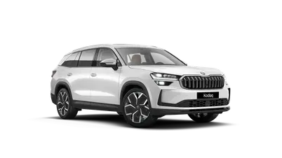 Kodiaq Exclusive Selection