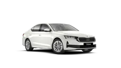 Octavia Top Selection