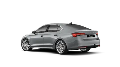 Octavia Exclusive Selection