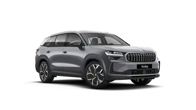 Kodiaq Exclusive Selection