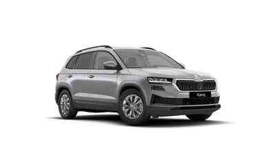 Karoq 130 let