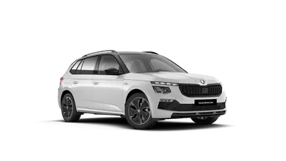 Kamiq Monte Carlo