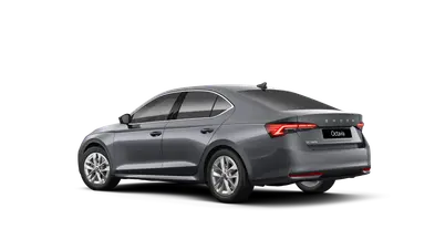 Octavia Top Selection