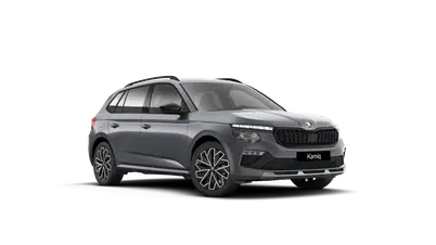 Kamiq Dynamic