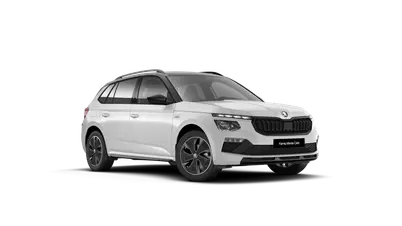 Kamiq Monte Carlo