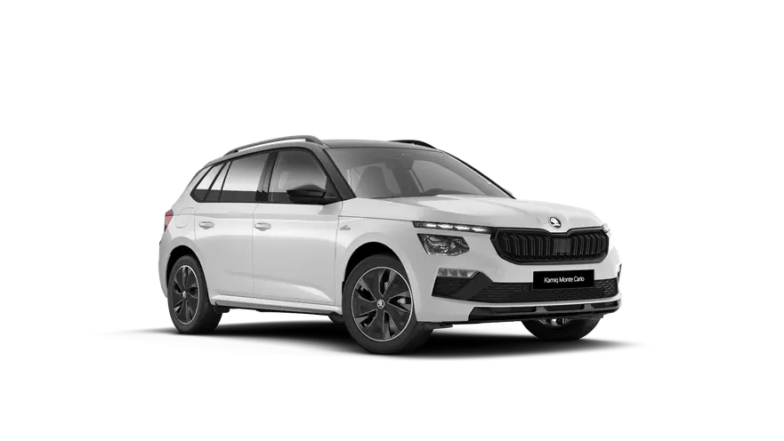 Kamiq Monte Carlo