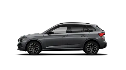 Kamiq Dynamic