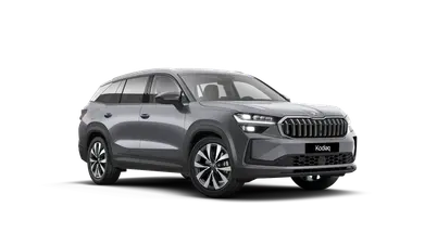 Kodiaq Exclusive Selection