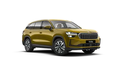 Kodiaq Exclusive Selection