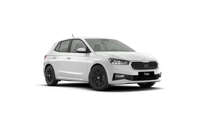 Fabia 130 let