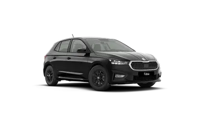 Fabia 130 let