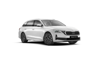 Octavia Combi Top Selection