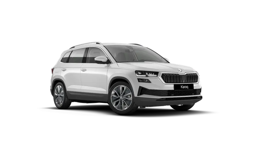 Karoq 130 let
