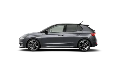 Fabia Monte Carlo