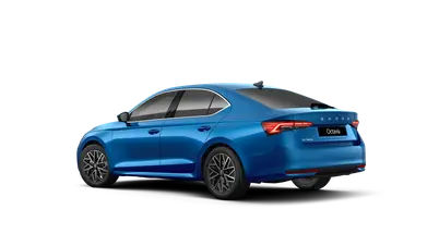 Octavia Top Selection