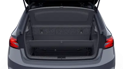 Fabia Monte Carlo