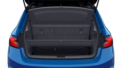 Fabia Monte Carlo