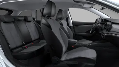 Octavia Combi Top Selection