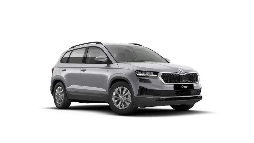 Karoq 130 let