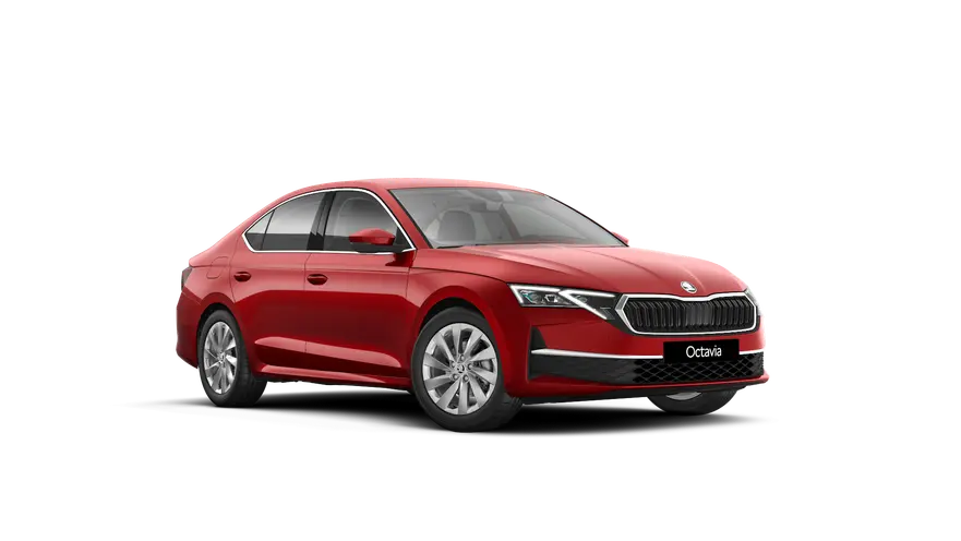 Nová Octavia First Edition