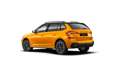 Kamiq Monte Carlo