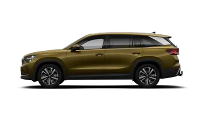 Kodiaq Exclusive Selection