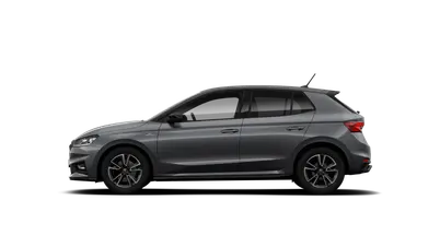 Fabia Monte Carlo