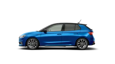 Fabia Monte Carlo