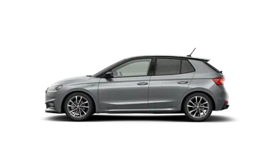 Fabia Monte Carlo