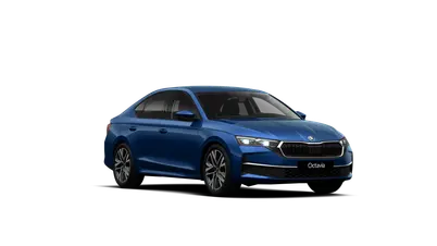 Octavia Dynamic