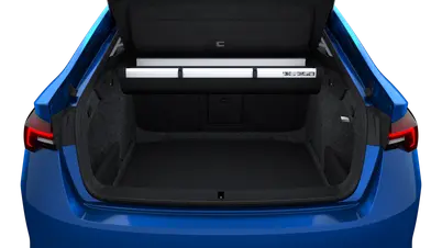Octavia Dynamic