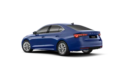 Octavia Top Selection