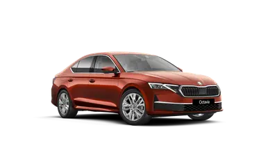 Octavia Top Selection