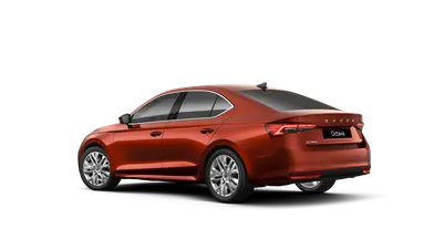 Octavia Top Selection